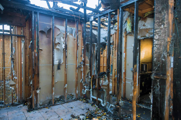Professional Fire Damage Removal technician working in Stanchfield, MN