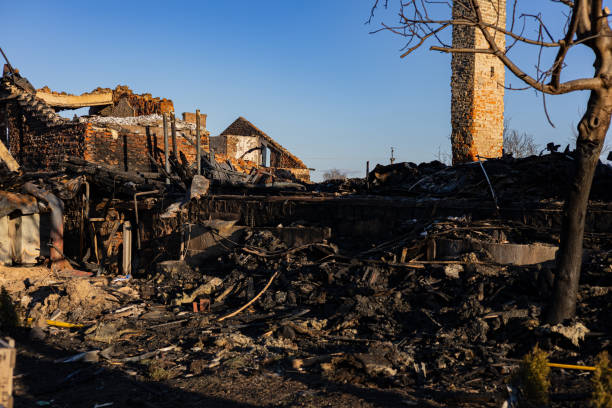 Trusted Fire Damage Removal service in Stanchfield, MN - Fire Damage Laser Cleaning