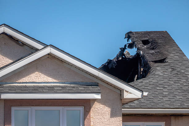 Top rated local Fire Damage Removal specialists in Stanchfield, MN